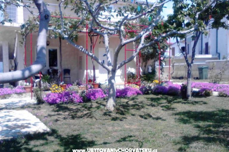 Apartamenty Vera – foto 9