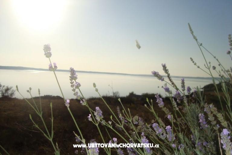 Apartament Marijan – foto 9