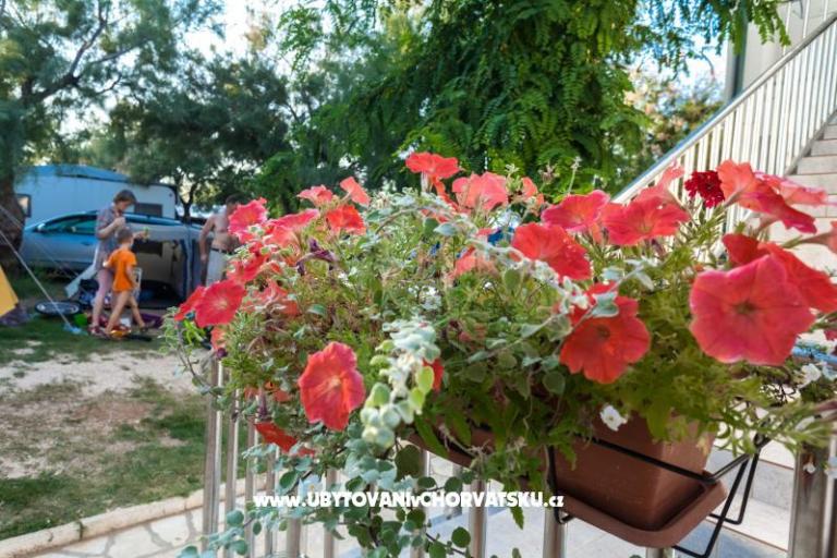 Apartamenty Puntica – foto 2