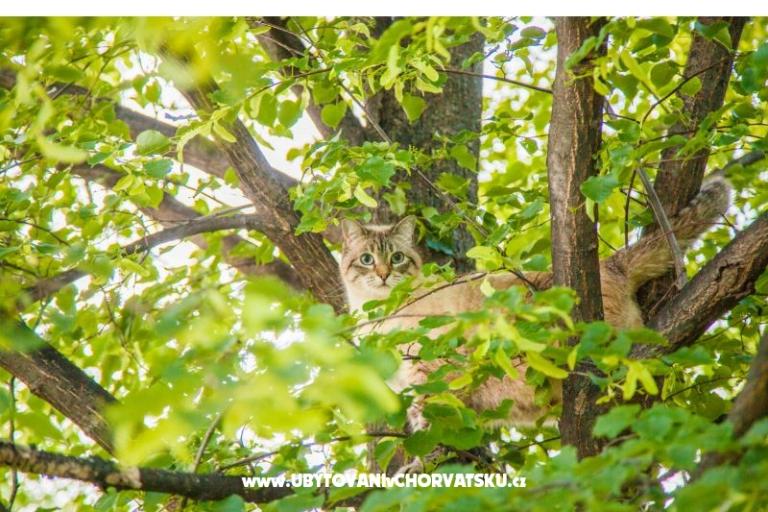 Apartament Bartolovo – foto 11