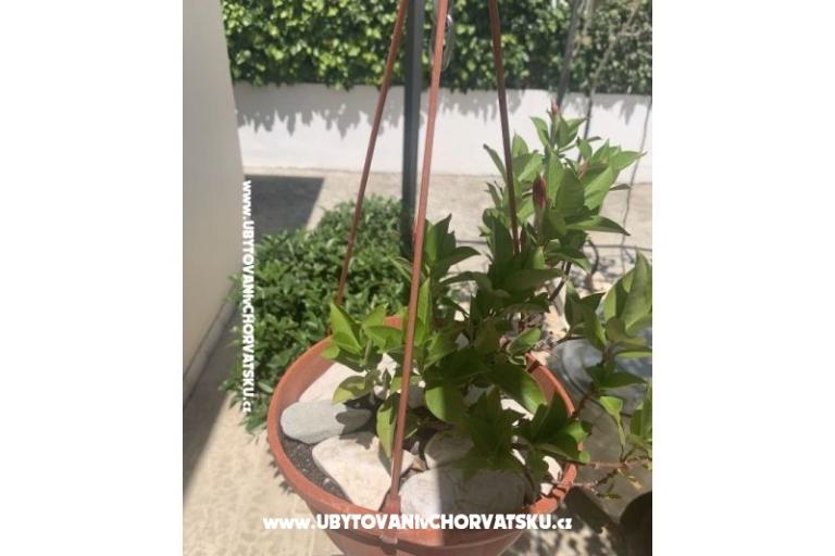 Apartament Odmor – foto 14