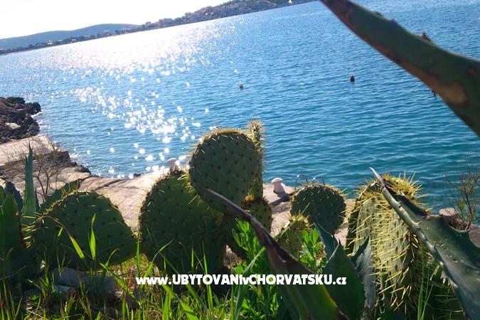Apartament Dea – foto 12