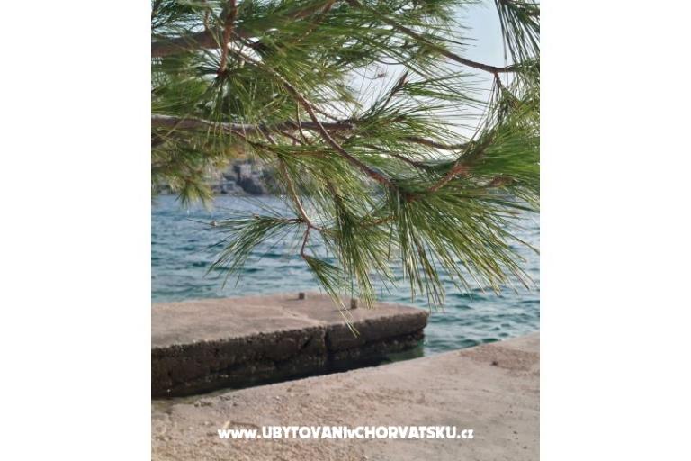 Apartament Mišić - OAZA MIRA – foto 19