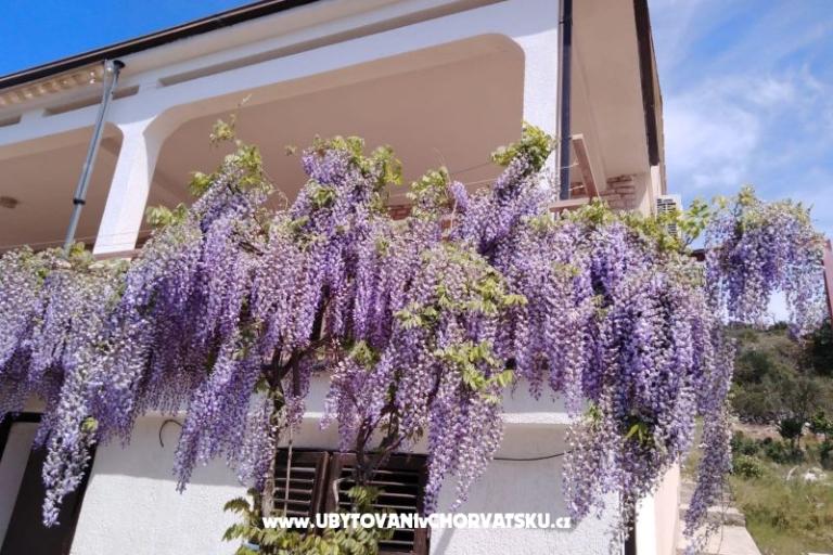 Apartament Mišić - OAZA MIRA – foto 21