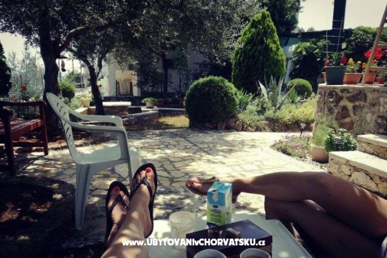 Apartament Pane – foto 13