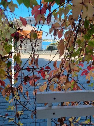 Apartamenty Ana – foto 7