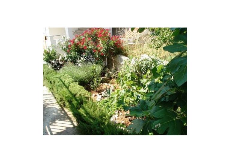 Apartamenty Ante – foto 8