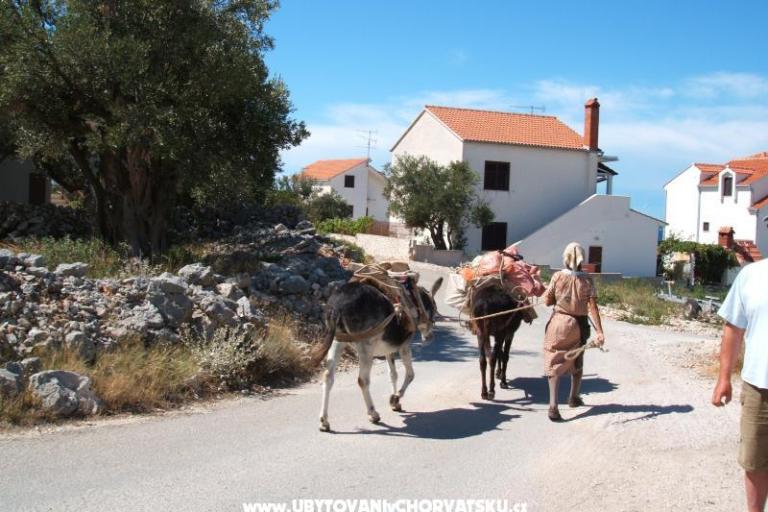 Apartamenty Bačić – foto 17
