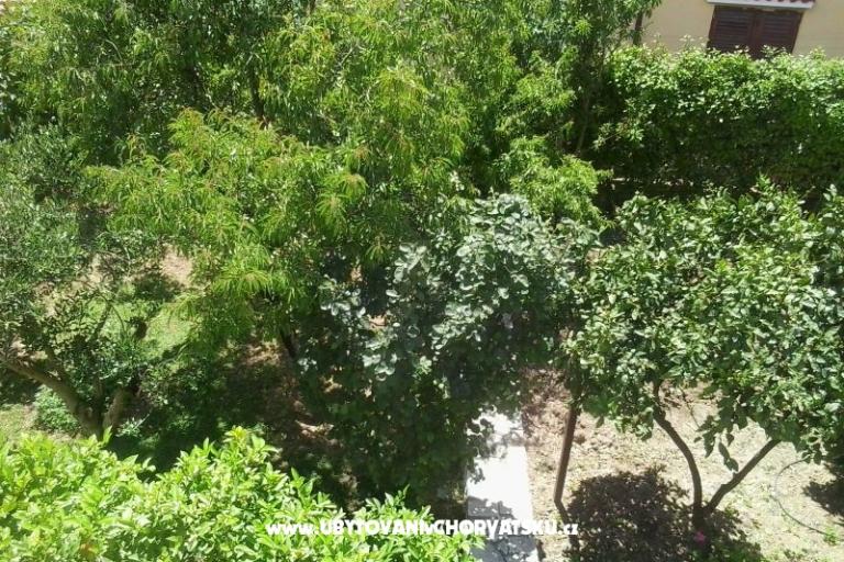 Apartamenty Baković – foto 10