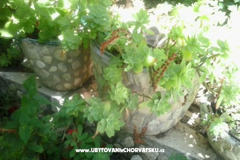 Apartamenty Baković – foto 6