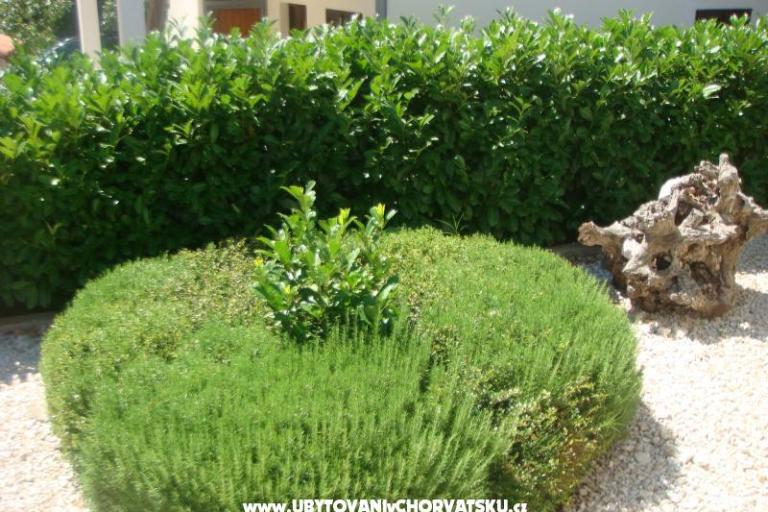 Apartamenty Bartolić – foto 13