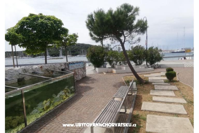 Apartamenty Diana – foto 5