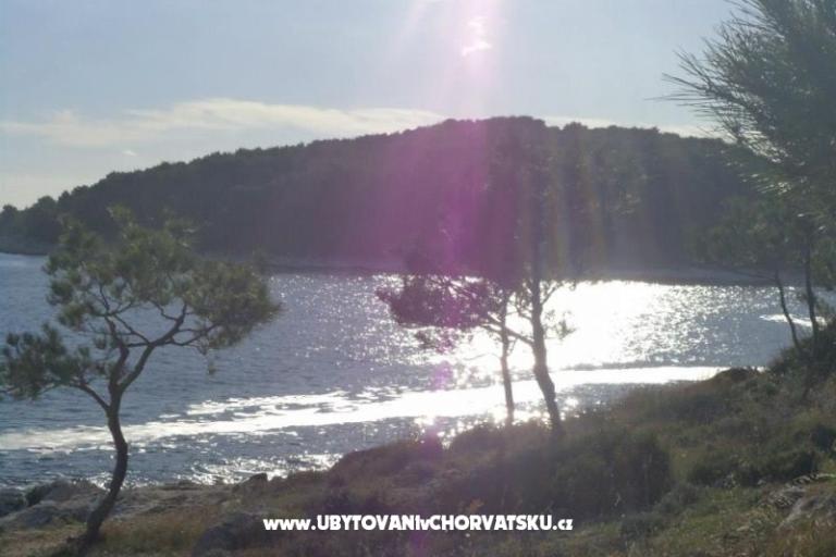 Apartamenty Domino – foto 6