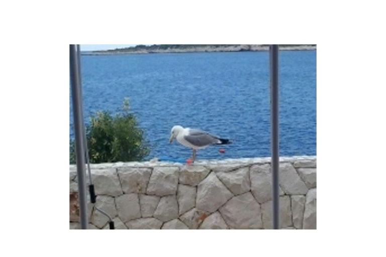 Apartamenty Nika – foto 18
