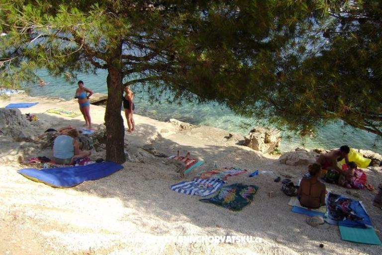 Apartamenty Leon – foto 12