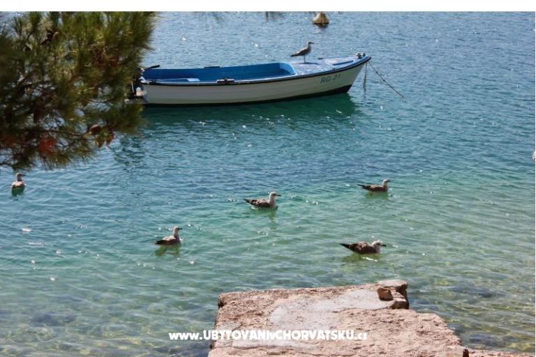 Apartamenty Leon – foto 15