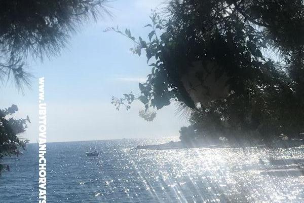 Apartamenty Leona Rogoznica – foto 13