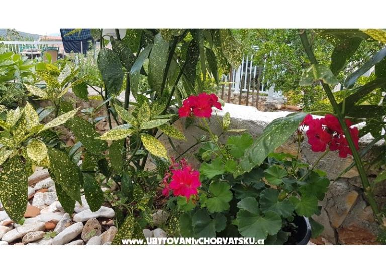 Apartamenty Mijo – foto 12