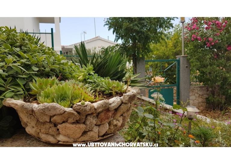 Apartamenty Mijo – foto 13