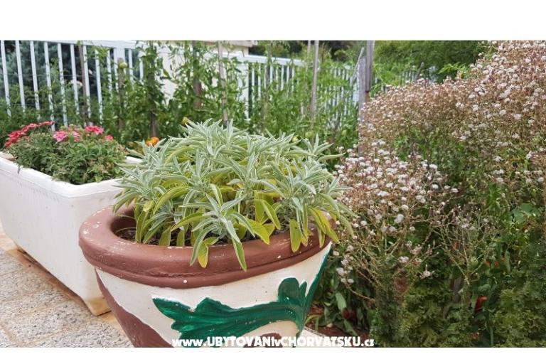 Apartamenty Mijo – foto 8