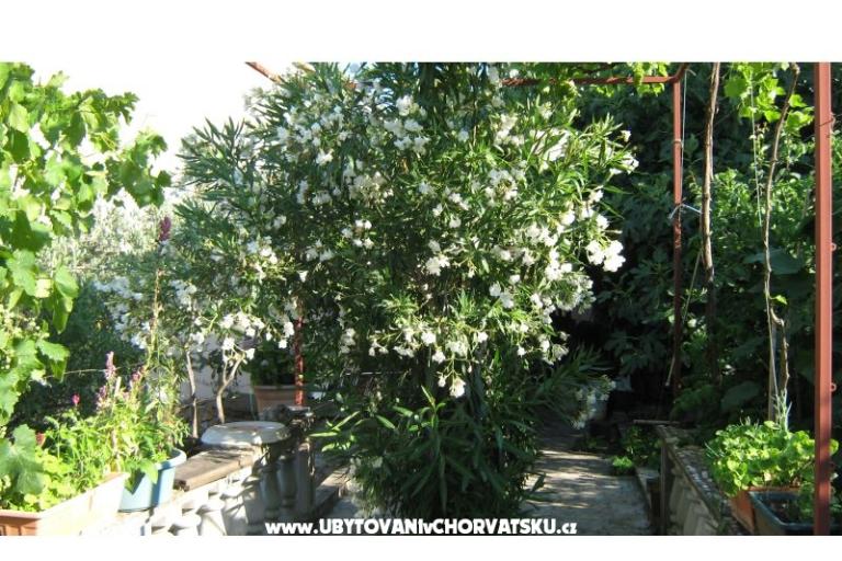 Apartamenty Miki – foto 8