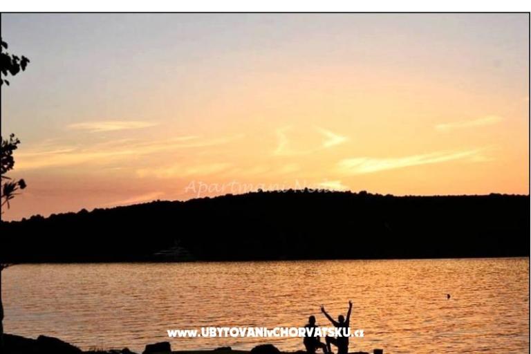 Apartamenty Neda,Kanica – foto 10