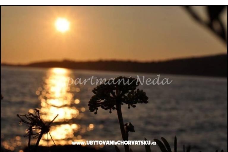 Apartamenty Neda,Kanica – foto 11