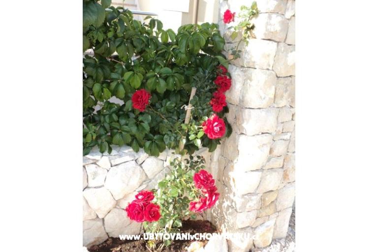 Apartamenty Neda,Kanica – foto 6