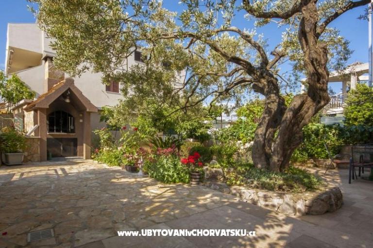 Apartamenty Olea – foto 8