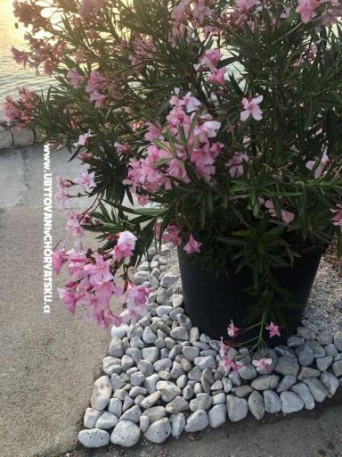 Apartamenty Ruža – foto 28