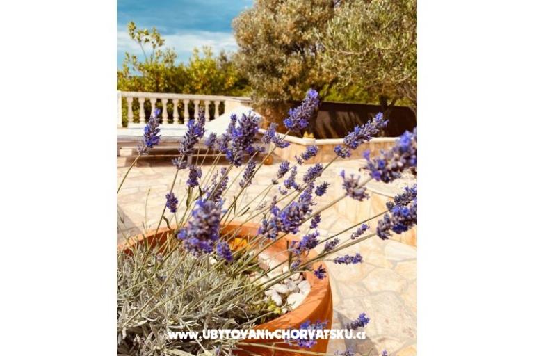 Apartamenty Sunset – foto 4