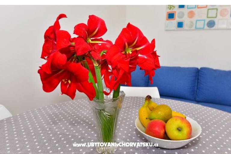Apartamenty Tereza – foto 9