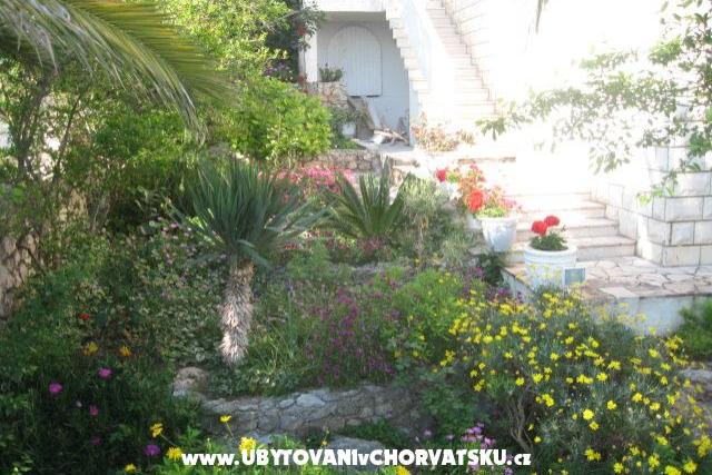 Villa Jozo Apartamenty – foto 5