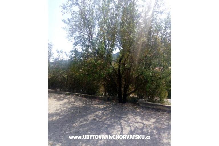 Apartamenty Ercegovic – foto 5
