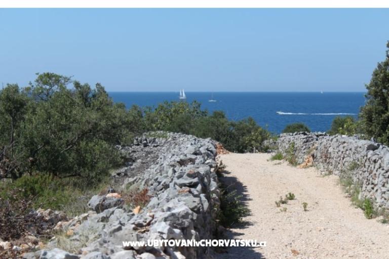 Apartamenty Blazevic – foto 16