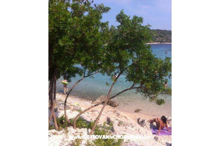 Apartamenty Blazevic – foto 17