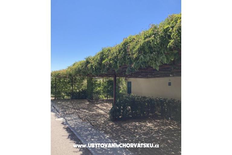 Apartamenty Jakov – foto 8