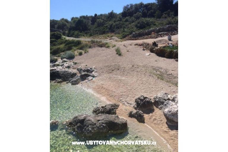 Apartamenty Ljuba – foto 15