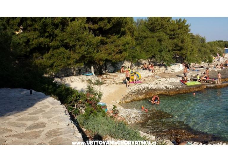 Apartamenty Ursula – foto 11