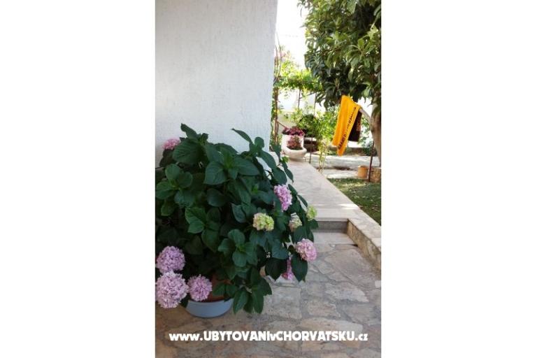 Apartamenty Ursula – foto 14