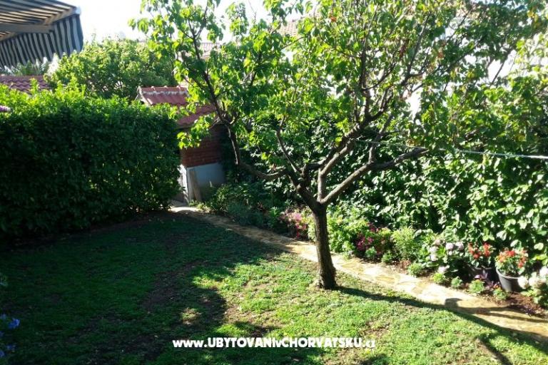 Apartamenty Ursula – foto 5