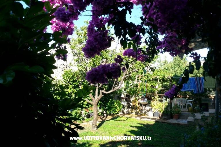 Apartamenty Ursula – foto 6