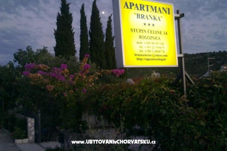 Apartamenty Villa Branka – foto 14