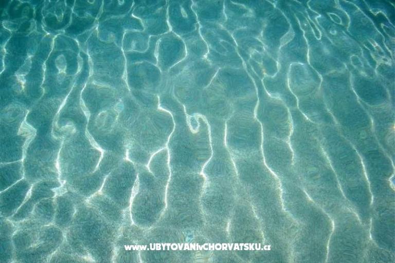 Captains Dom 2 – foto 12