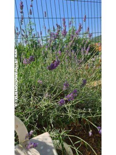 Holiday Apartamenty Lucic – foto 98