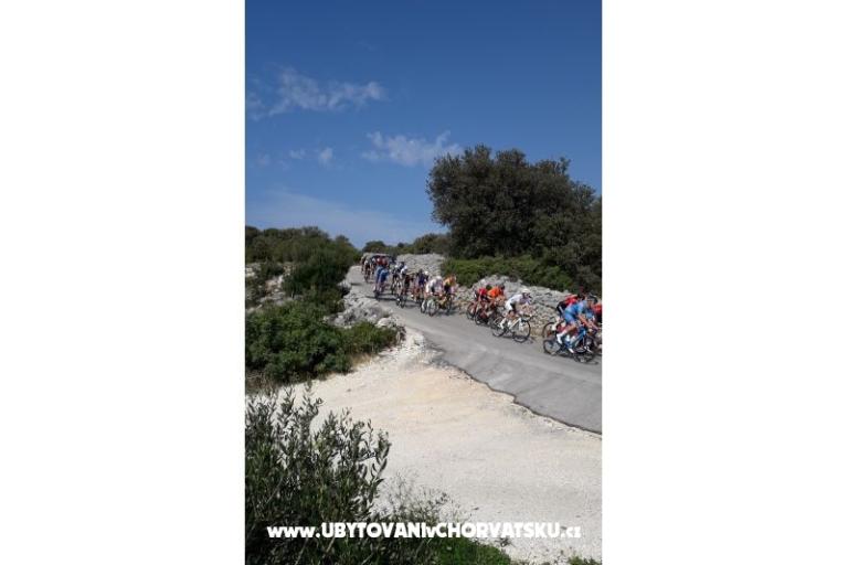 Dom Zvonimir – foto 15