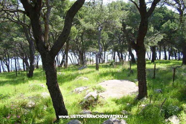 Dom wakacyjny Stari mlin – foto 12