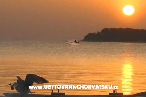 Maxi Apartament – foto 4