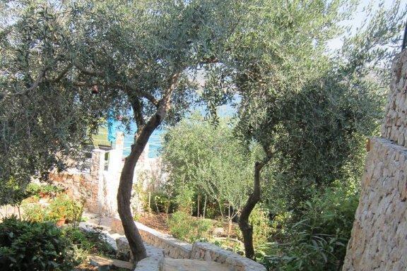 Mezaroca Apartamenty – foto 4