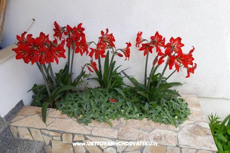 Apartamenty Mira Mark Ražanj Rogoznic – foto 13
